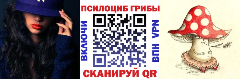 MEGA рабочий сайт  Спас-Клепики  Псилоцибиновые грибы Cubensis 